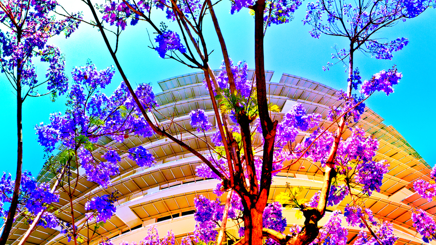 rodney_bowes_los_angeles_photographer