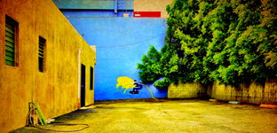 greatest_photographer_in_los_angeles
