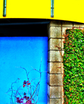 rodney_bowes_photography_los_angeles