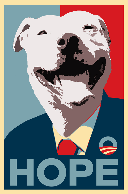 hope_poster