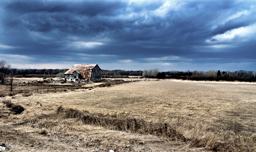 rodney_bowes_los_angeles_photography