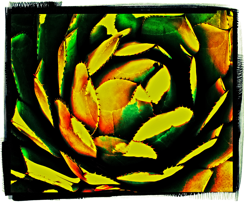 rodney_bowes_photos_la