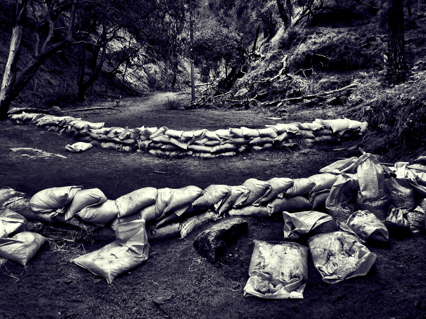 photography_rodneybowesdesign_losangeles