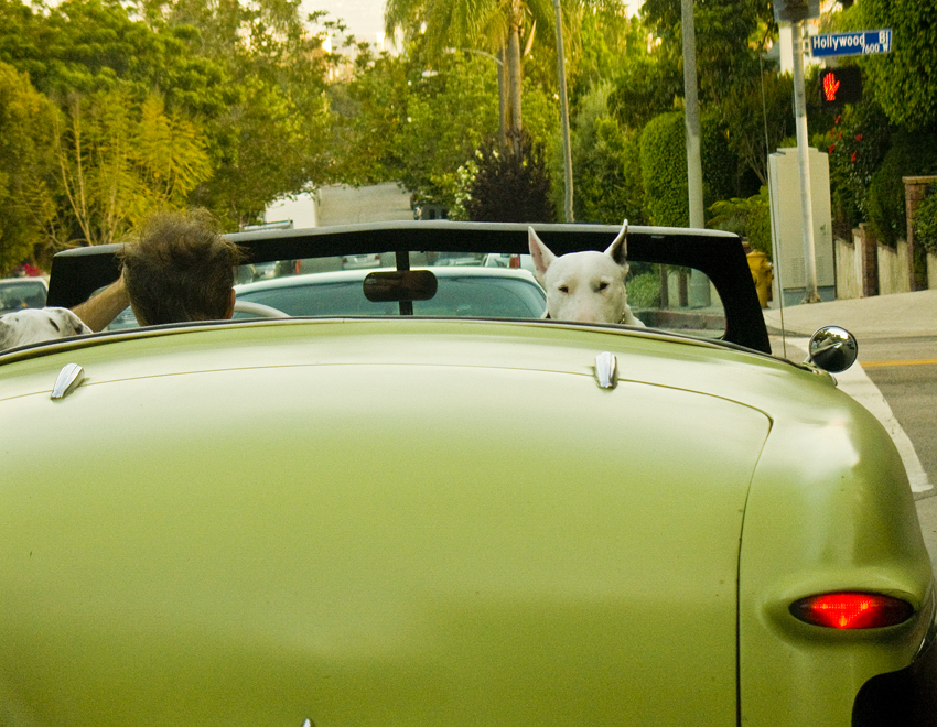 rodney_bowes_photo_la