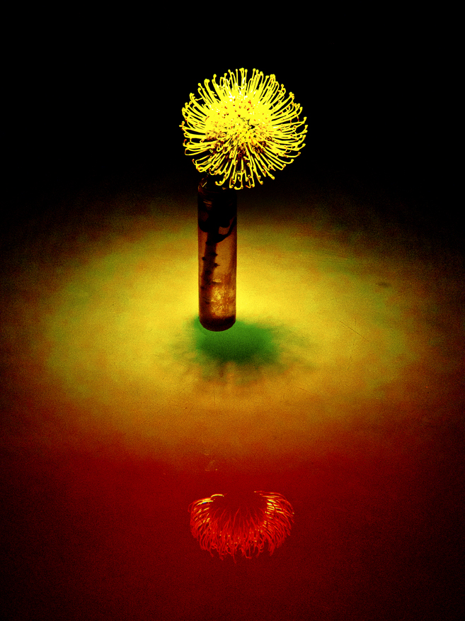 rodney_bowes_design_los_angeles