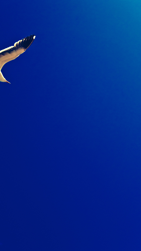 rodney_bowes_photography_los_angeles