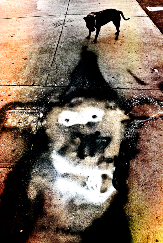 rodney_bowes_design_los_angeles_photography