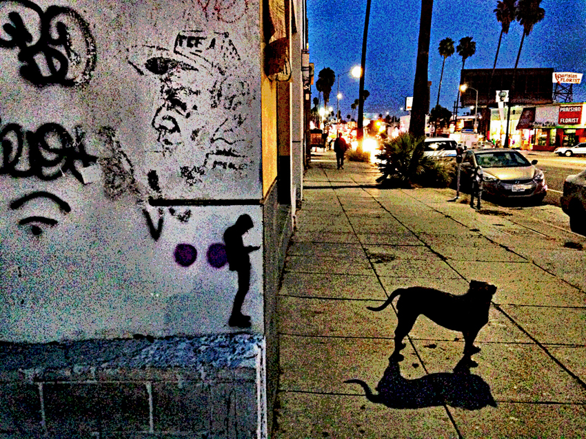 photography_rodneybowesdesign_losangeles