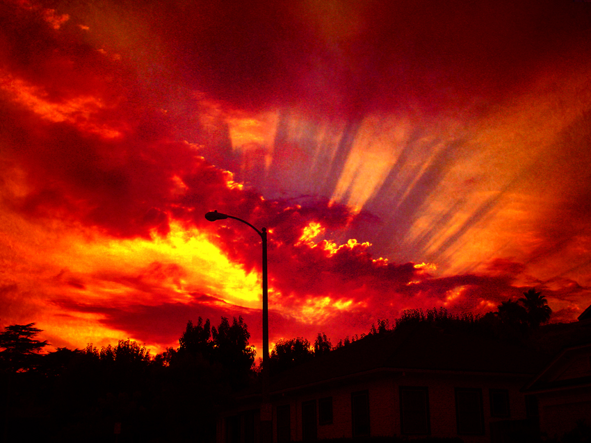 rodney_bowes_design_la