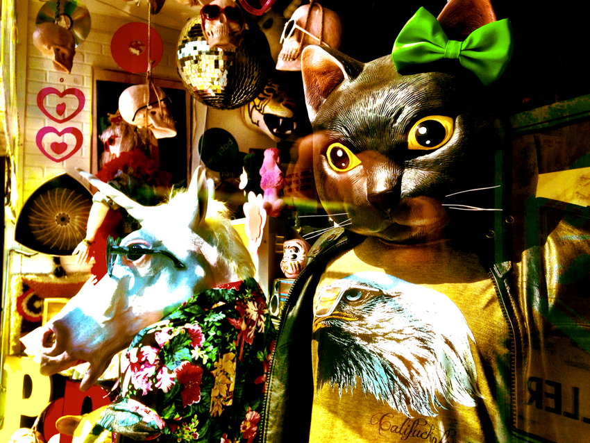 photography_rodneybowesdesign_losangeles