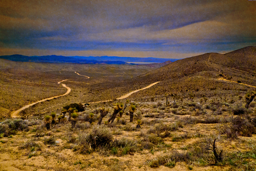 rodney_bowes_los_angeles_photographer