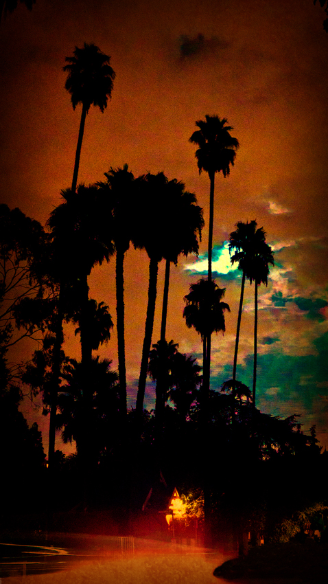 photography_rodneybowesdesign_losangeles