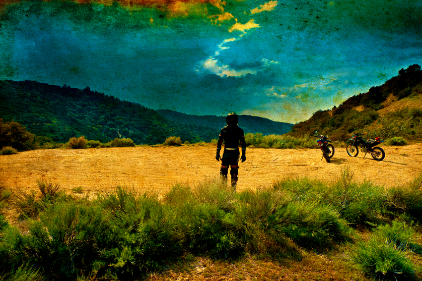 rodney_bowes_design_la