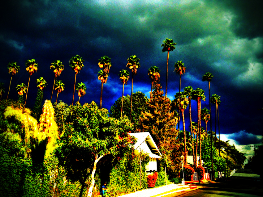 photography_rodneybowesdesign_losangeles