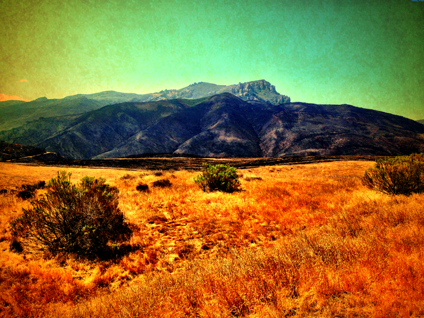 rodney_bowes_photography_los_angeles