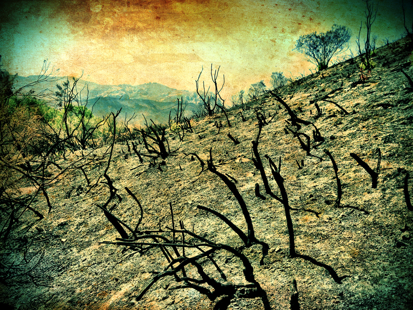 rodney_bowes_photography_los_angeles