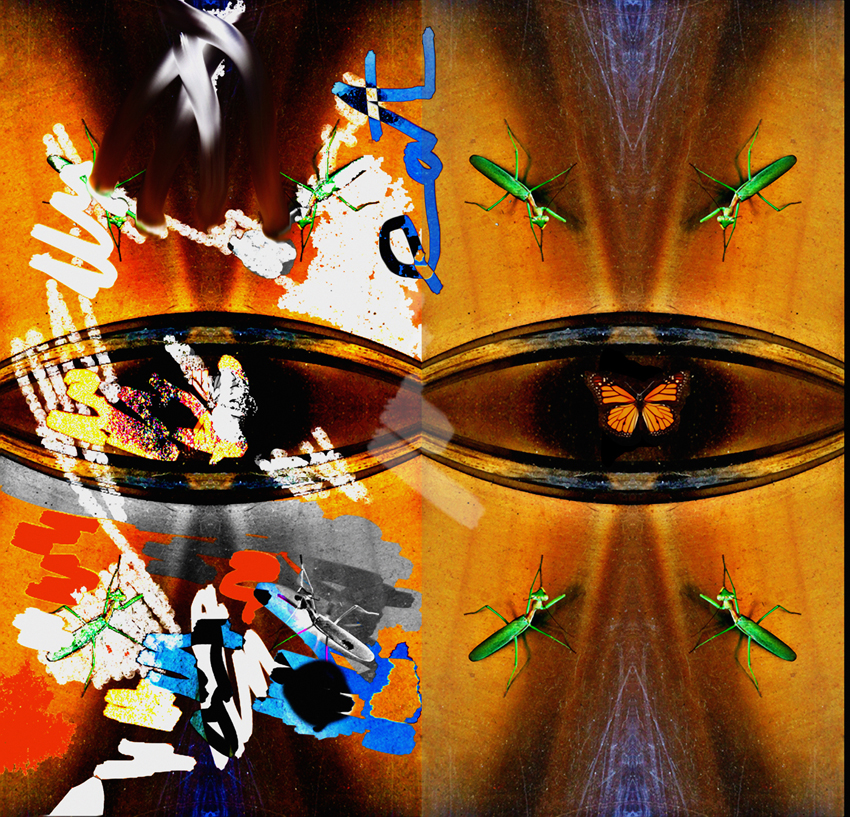 rodney_bowes_los_angeles_photographer