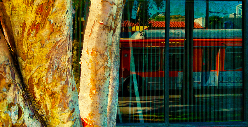 rodney_bowes_photographer_los_angeles_best