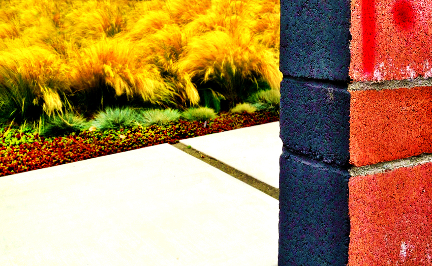 rodney_bowes_photography_hollywood_california