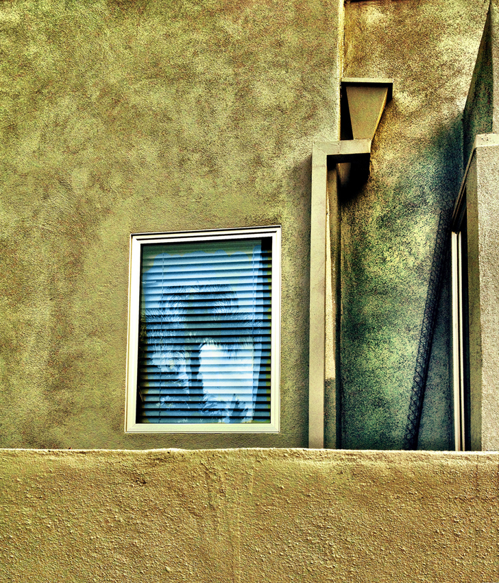 rodney_bowes_design_los_angeles_photography