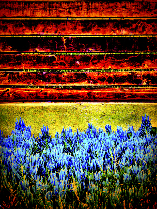 rodney_bowes_photography_los_angeles