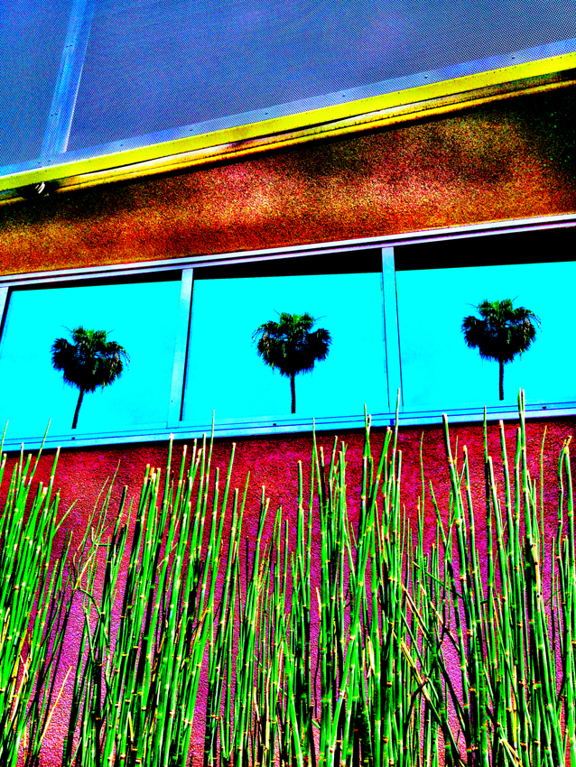 rodney_bowes_la_photographer