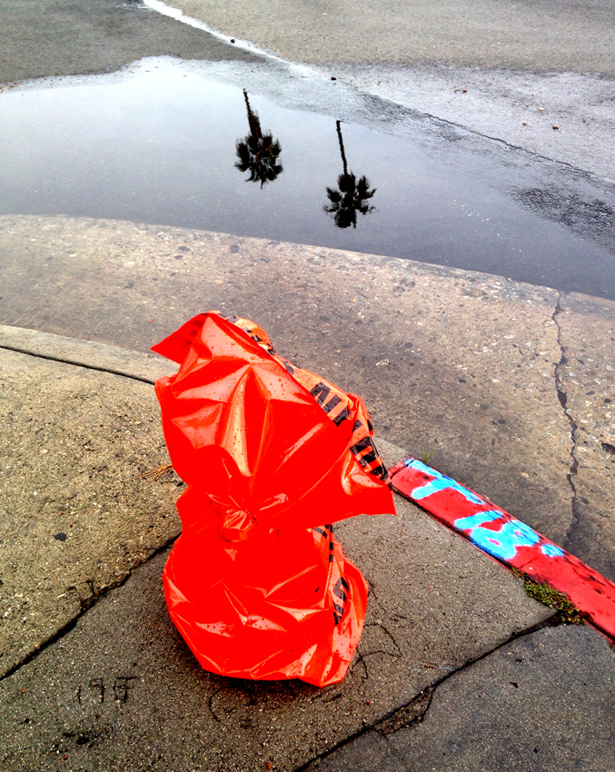 photography_rodneybowesdesign_losangeles